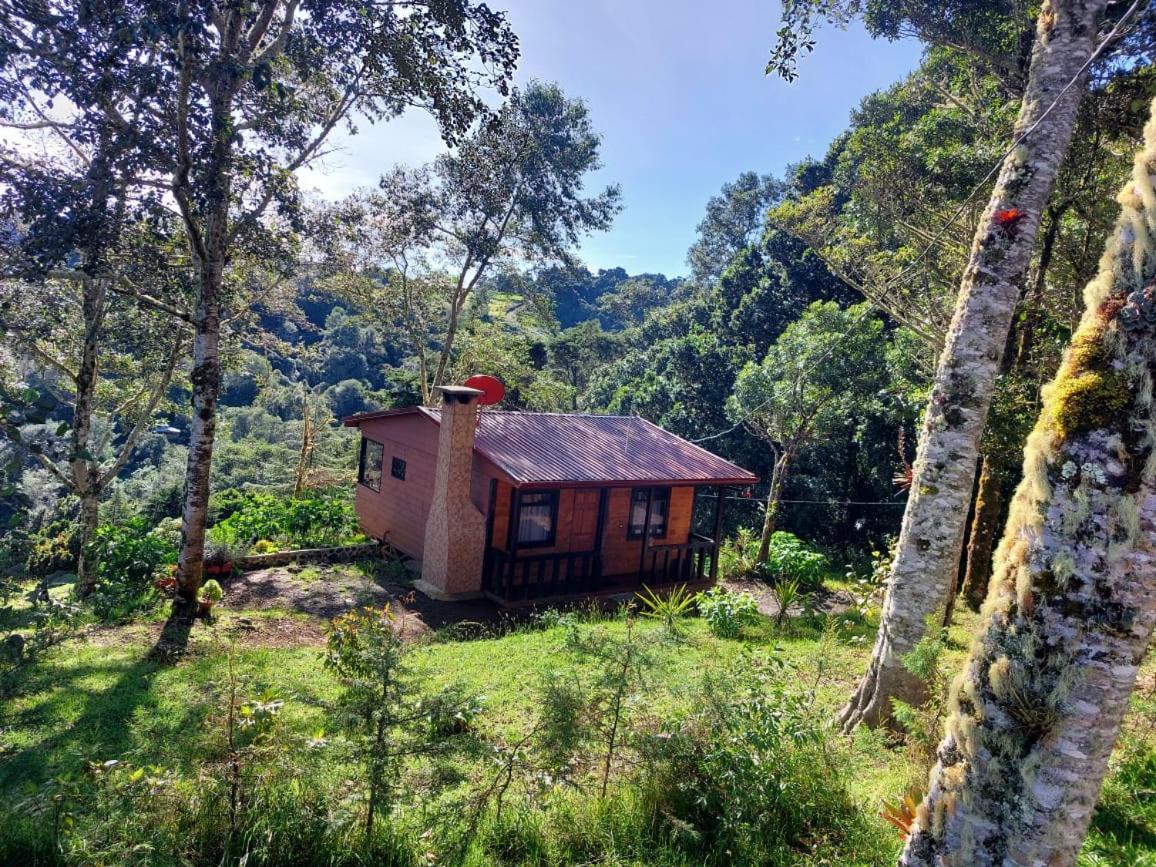Las Bromelias Lodge Paso Macho Exteriör bild