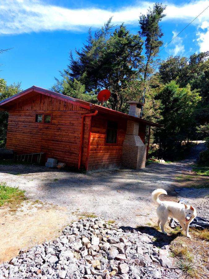 Las Bromelias Lodge Paso Macho Exteriör bild
